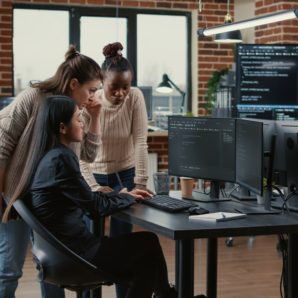 Software developer insurance