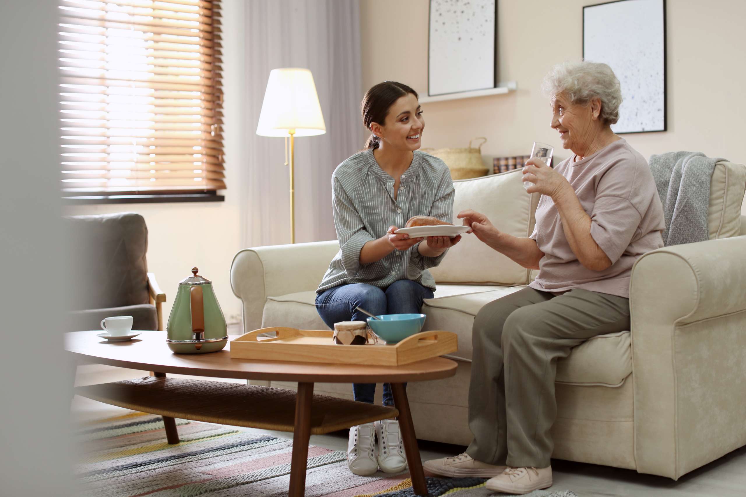 Young woman serving dinner for elderly woman in living room. Senior people care