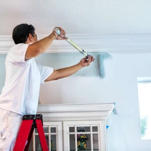 House painter painting residential home interior